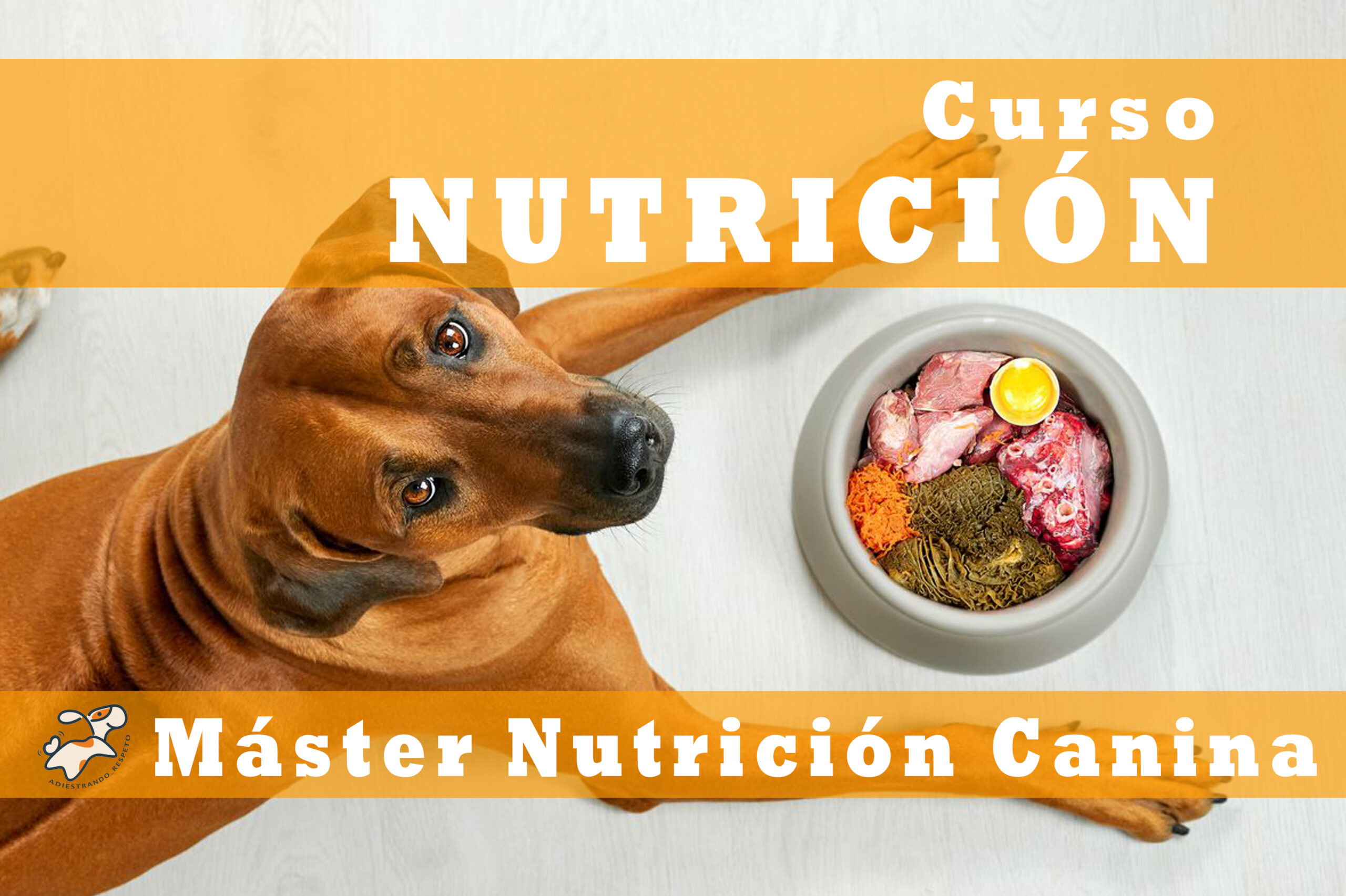 nutricion canina