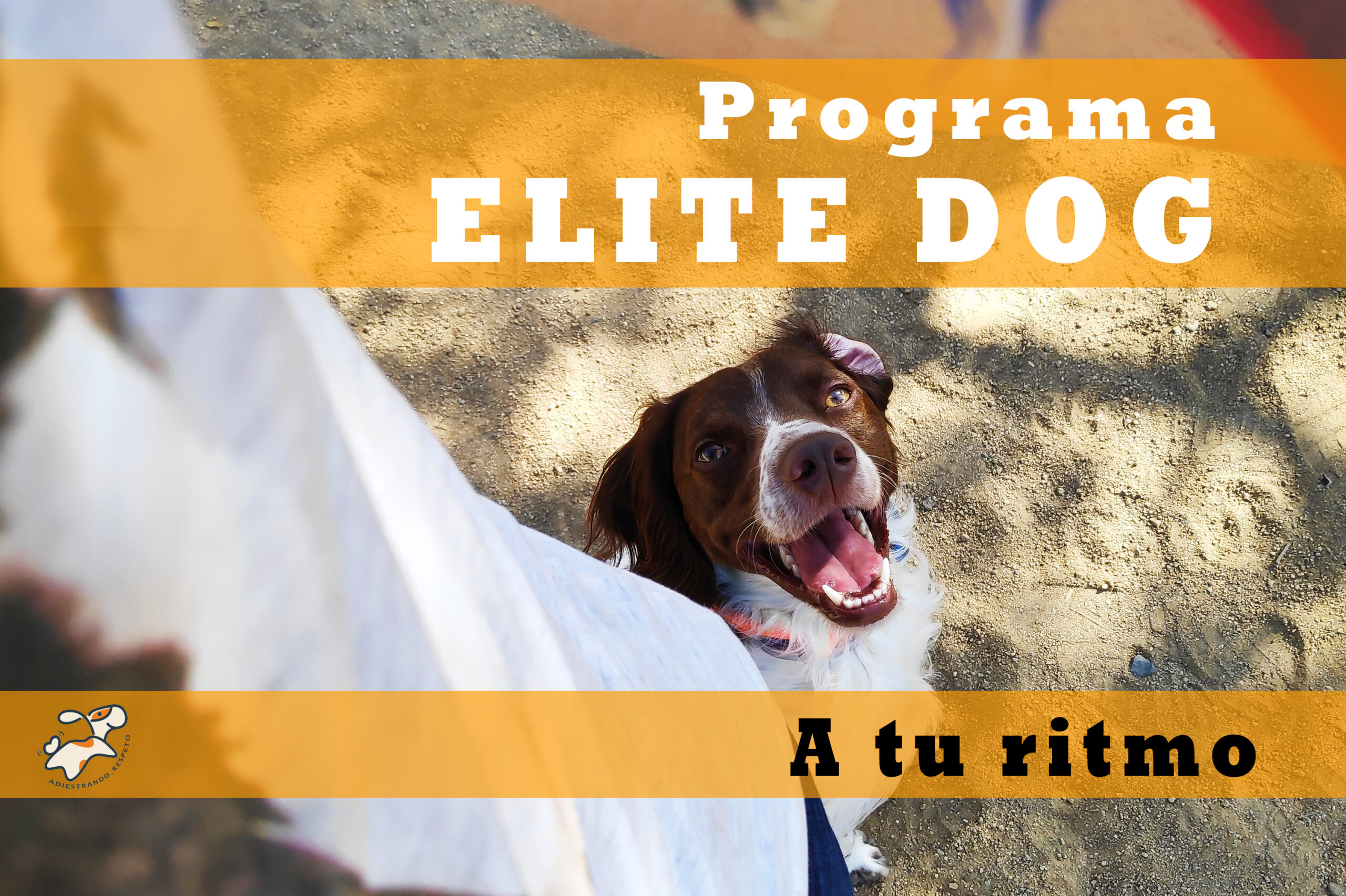 ELITE DOG a tu ritmo