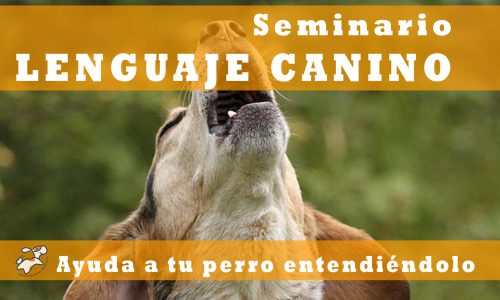 lenguaje canino